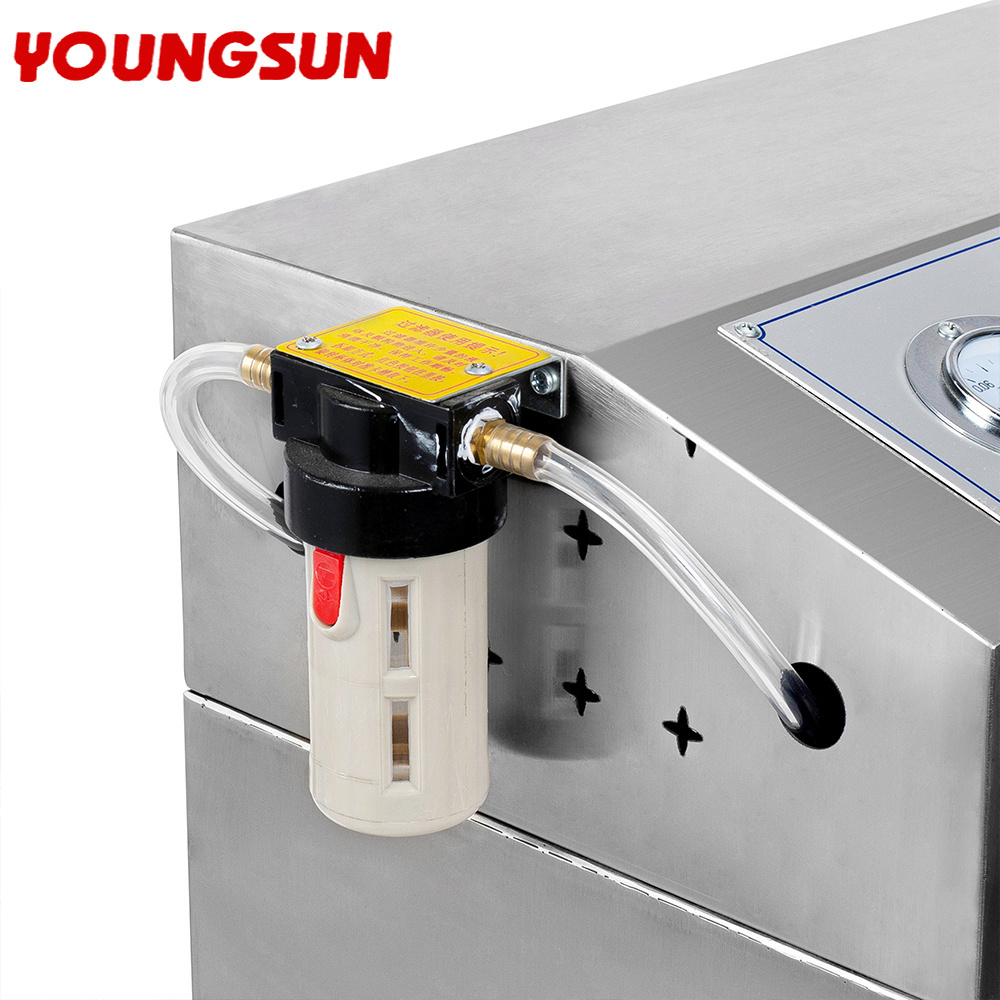 YOUNGSUN 800 External Food bag Air-exhaust Vacuum Packaging Machine Sealing Vacuum and Multi-functions Vacuum Sealer