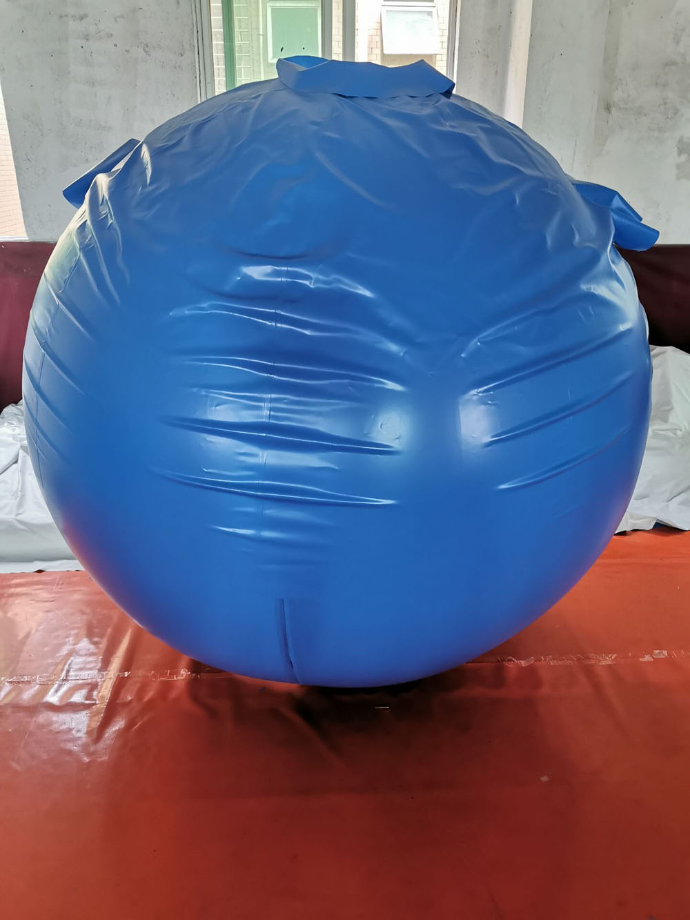 Hot sale high quality PVC inflatable blueberry suit for adult