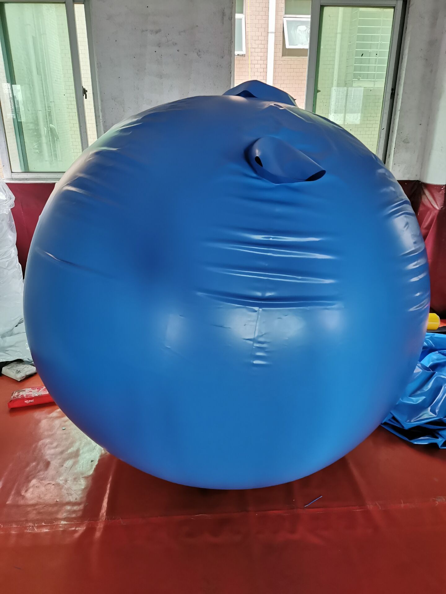 Big PVC round inflatable blueberry ball suit for cosplay