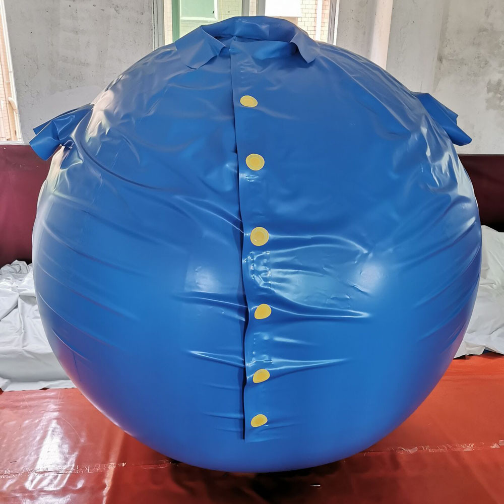 Hot sale high quality PVC inflatable blueberry suit for adult