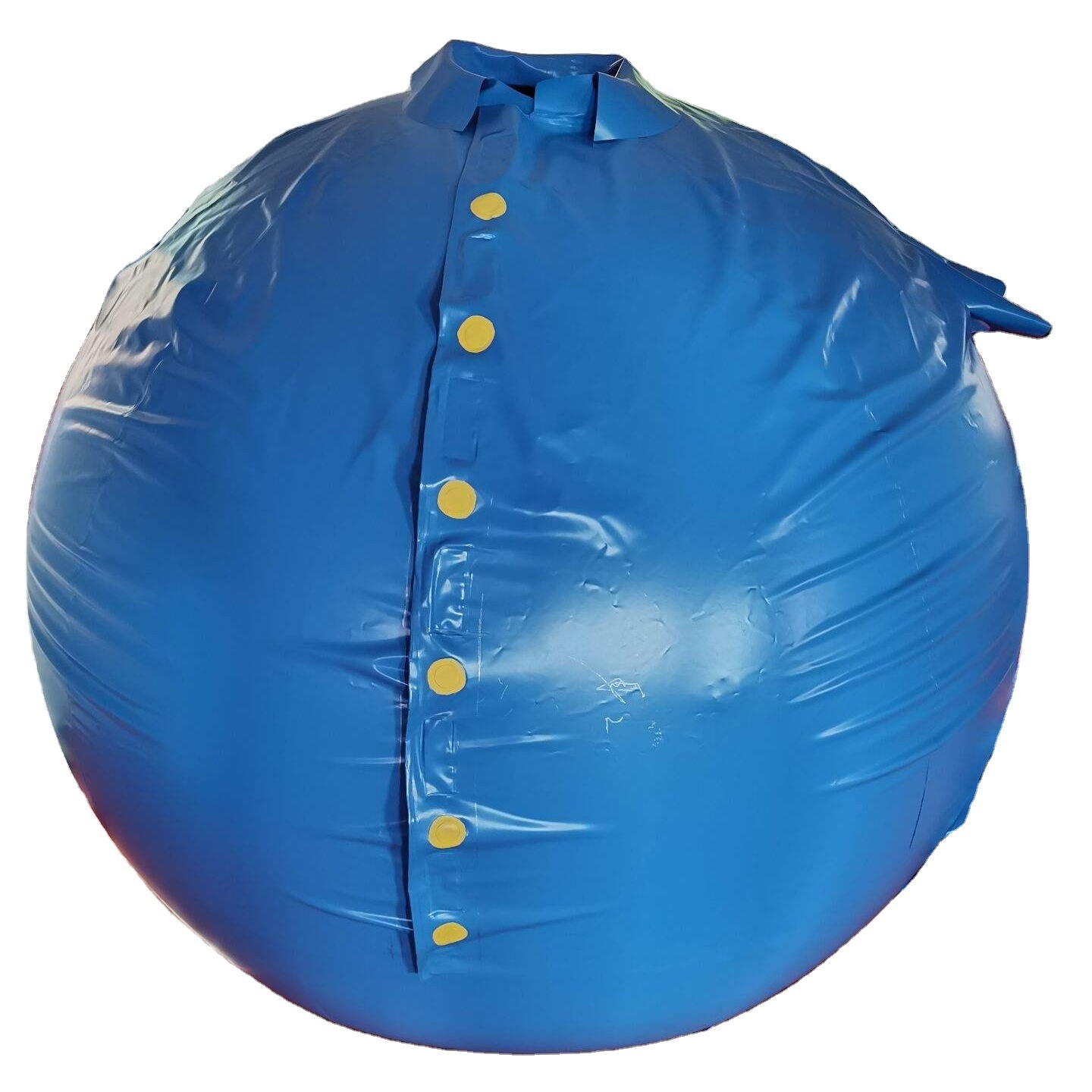 2024 hot sale Beile customize big round PVC inflatable blueberry ball suit for fun