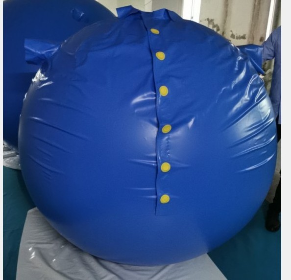 2024 hot sale Beile customize big round PVC inflatable blueberry ball suit for fun