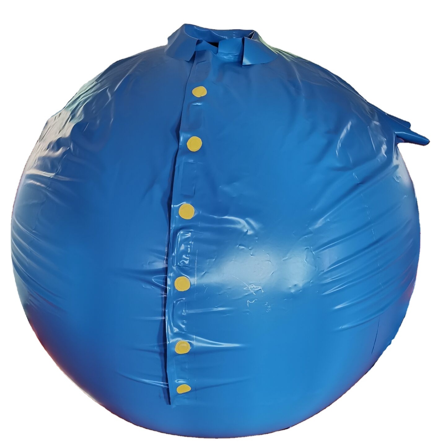 Hot sale high quality PVC inflatable blueberry suit for adult