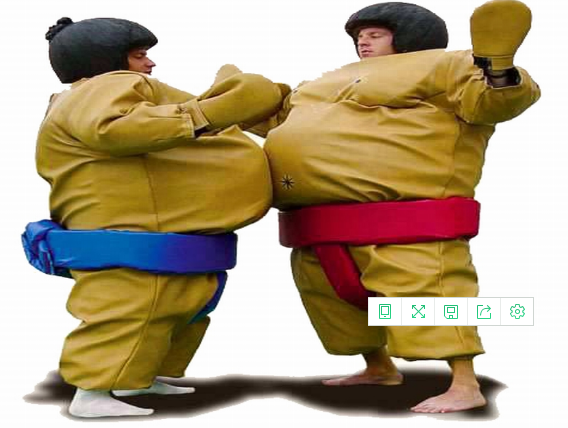 Whole Cheap inflatable sumo wrestling suits for sale