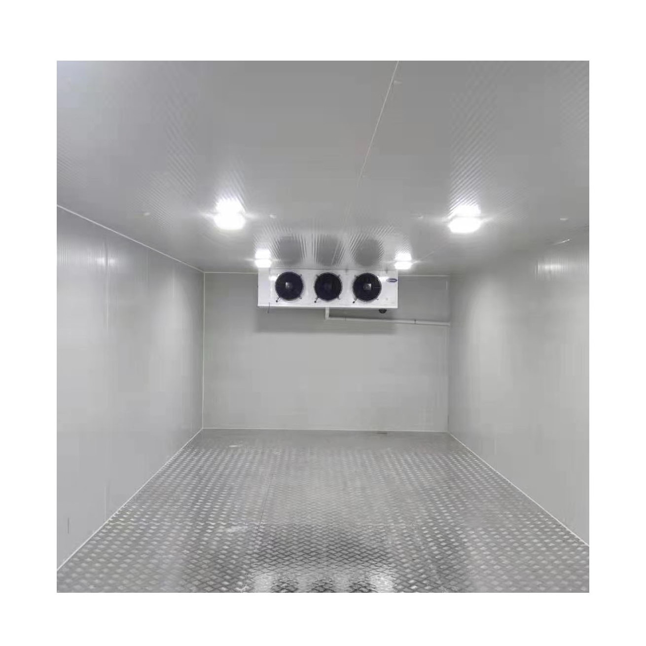 Storage Refrigeration Cooling System Cooler Rooms  Walk-In Deep Freezer Cold Room For Seafood