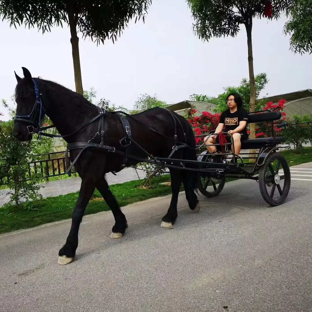 two wheel Marathon horse cart/horse carriage