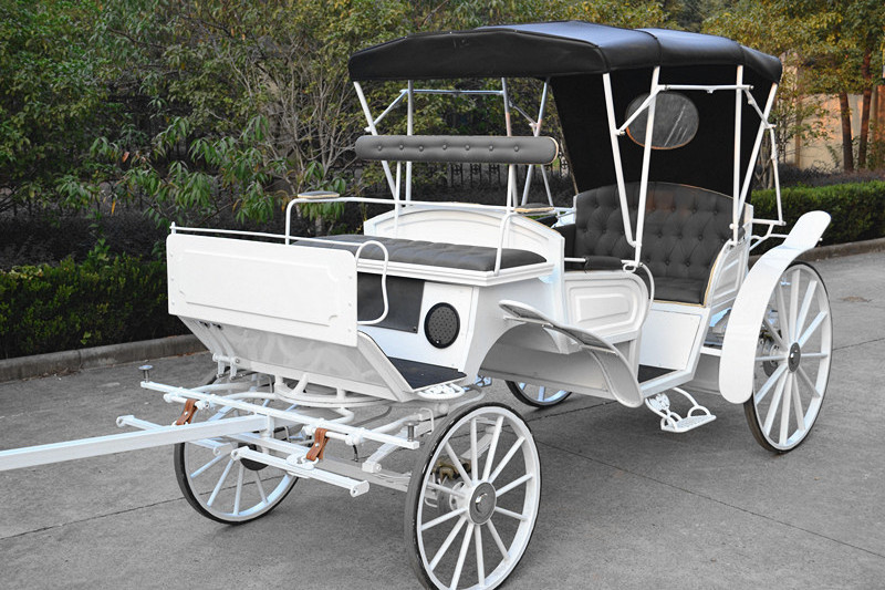 Royal Sightseeing White Cinderella Horse Carriage for sale