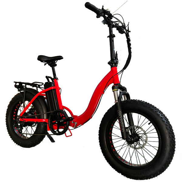 Electric pedal assist bicycle velo with throttle hydraulic brake 750w 48v battery