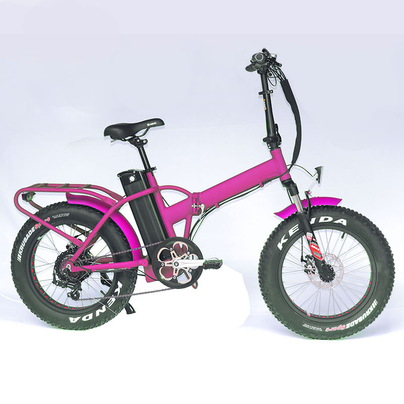 OEM new model 20' fat tire folding e bike/48v 500w electric bicycle with Bafang Motor