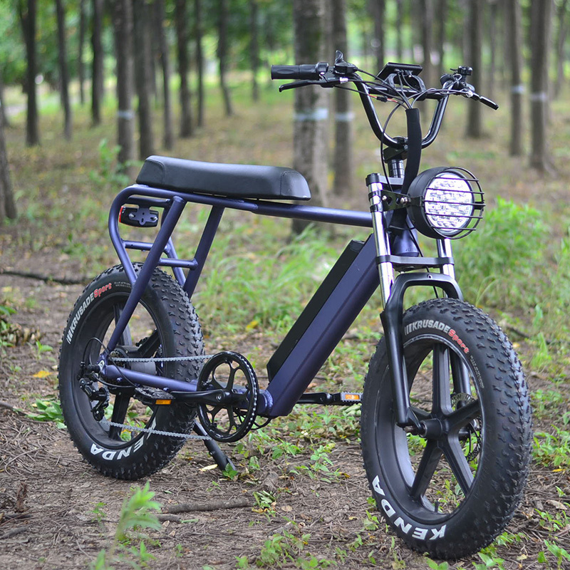 2019 48V 500W FAT ELECTRIC BIKE cruiser fat tire beach ebike snow bike