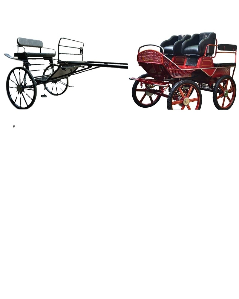 four wheel marathon horse carriage CE two years guarantee