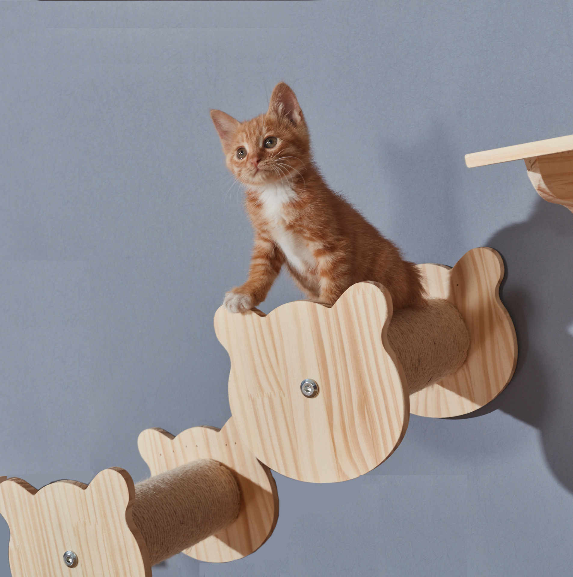 Cats Perch Supplies Four Step Stairway Pet Climbing Shelf Platform Wooden Cat Hammock Wall Mounted Cat Climbing Frame