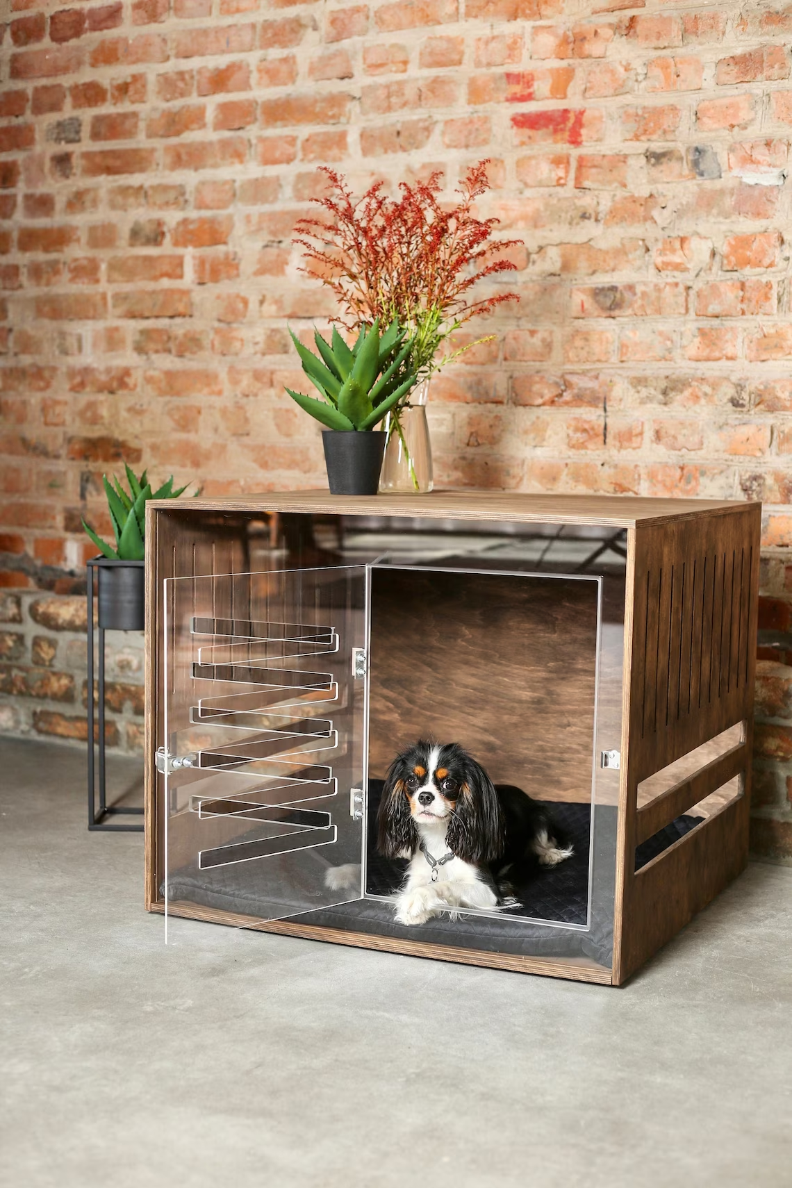 Modern dog crate Wooden dog crate with acrylic front panel and door with a latch