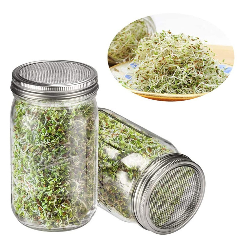 Seed Germination Canning Jars Glass Container Jar Tissue Culture Bottle with Screen Sprout Lid