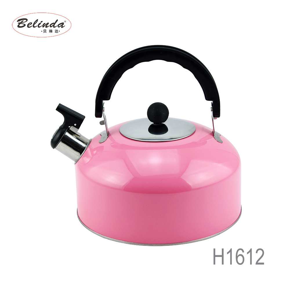 Colorful Printing Cheap Metal Stainless Steel Water Tea Boiling Kettle Whistling