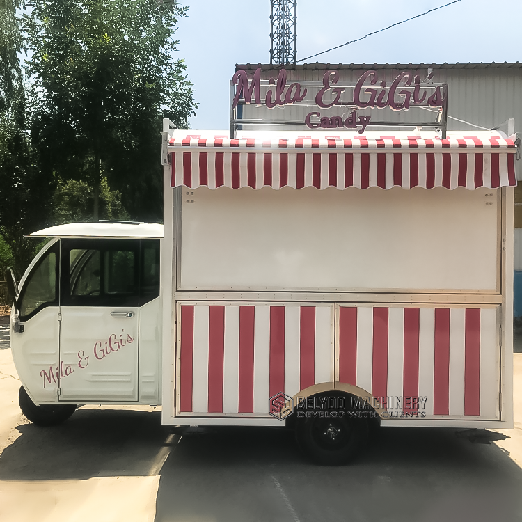 Ice CreamTacoTruck Mobile Coffee Bike Food Tricycle Taco Hot Dog Electric Tricycle Food Cart Hot Dog Cart