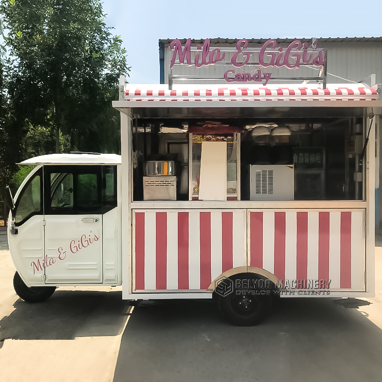 Ice CreamTacoTruck Mobile Coffee Bike Food Tricycle Taco Hot Dog Electric Tricycle Food Cart Hot Dog Cart