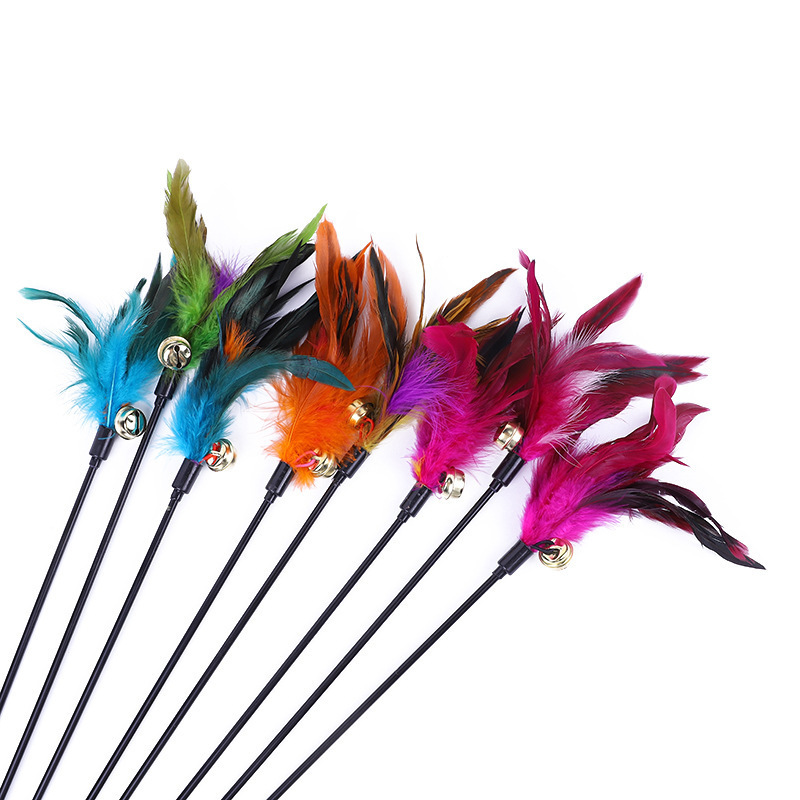 5pcs Funny Kitten Cat Teaser Interactive Toy Rod with Bell and Feather Toys For Pet Cats Stick Wire Chaser Wand Toy Random Color