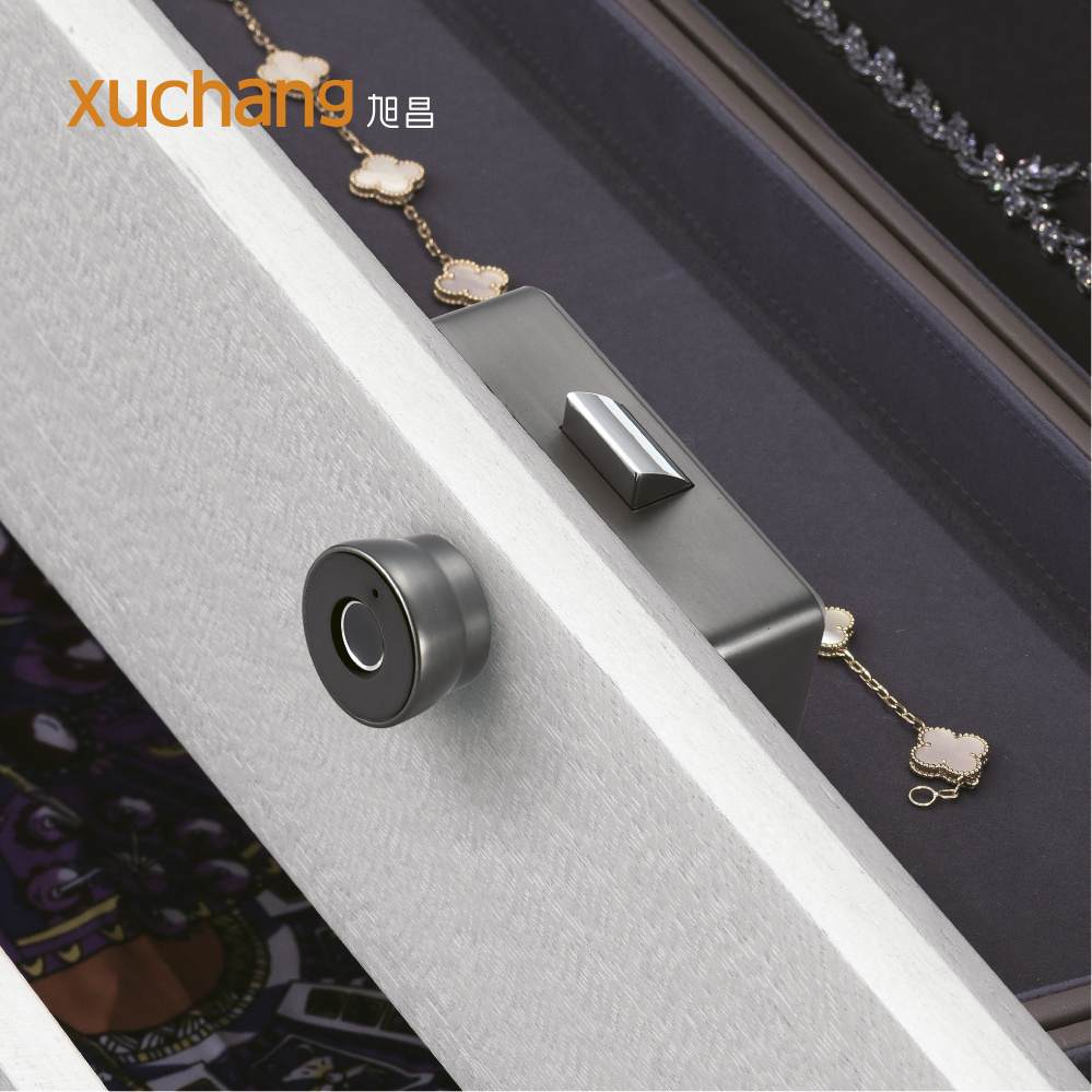 Keyless Drawer Lock Cabinet Lock For Office/Wardrobe Fingerprint Mini Smart Lock