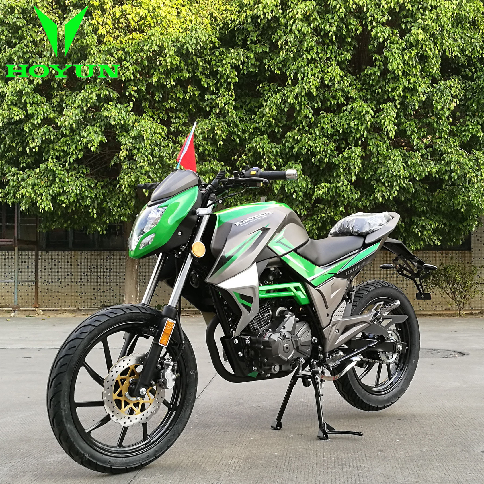 euro5 street legal EFI motorbike 17inch wheels 7.2KW racing bike 125cc 150cc 200cc EEC5 motorcycle/electric Motorcycle/motorbike