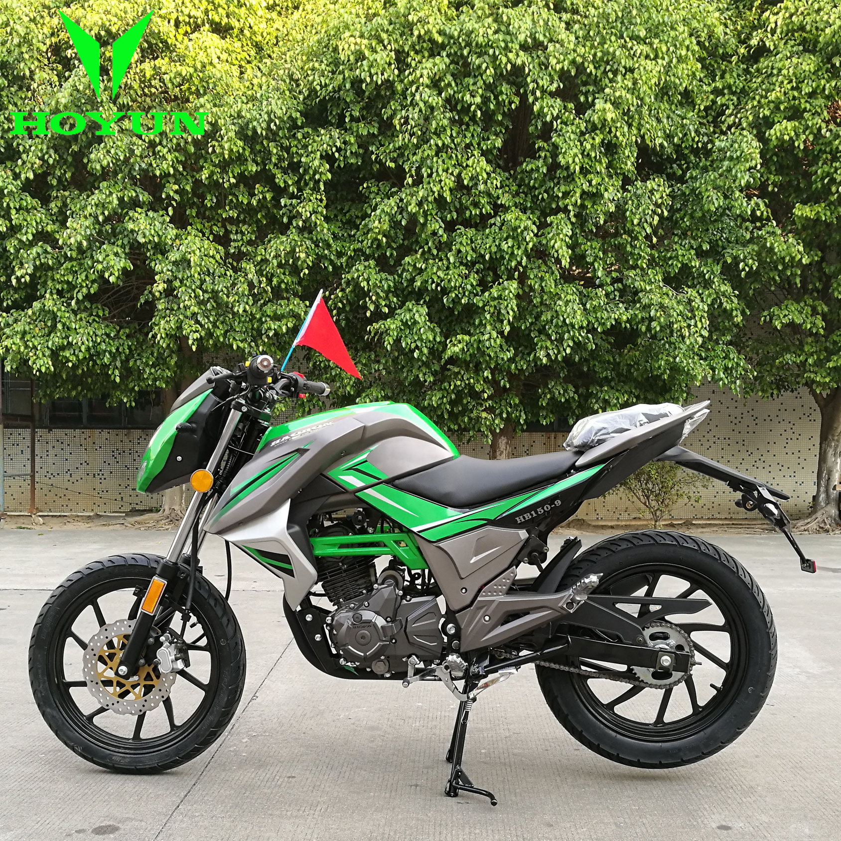 euro5 street legal EFI motorbike 17inch wheels 7.2KW racing bike 125cc 150cc 200cc EEC5 motorcycle/electric Motorcycle/motorbike