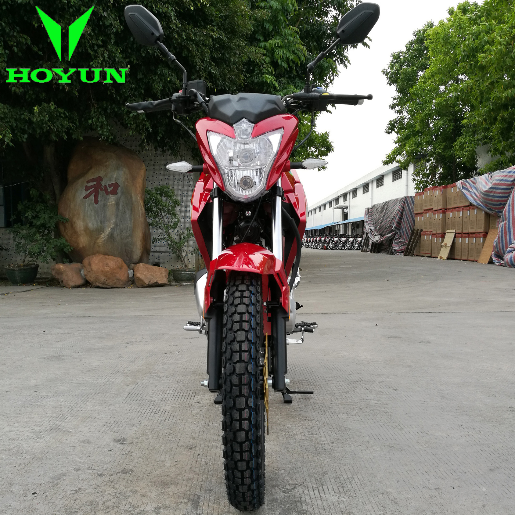 With Zongshen Loncin Shineray engine Bolivia Peru Panama HOYUN PEGASUS FENIX NAMI casual ROBINSON street motorcycle