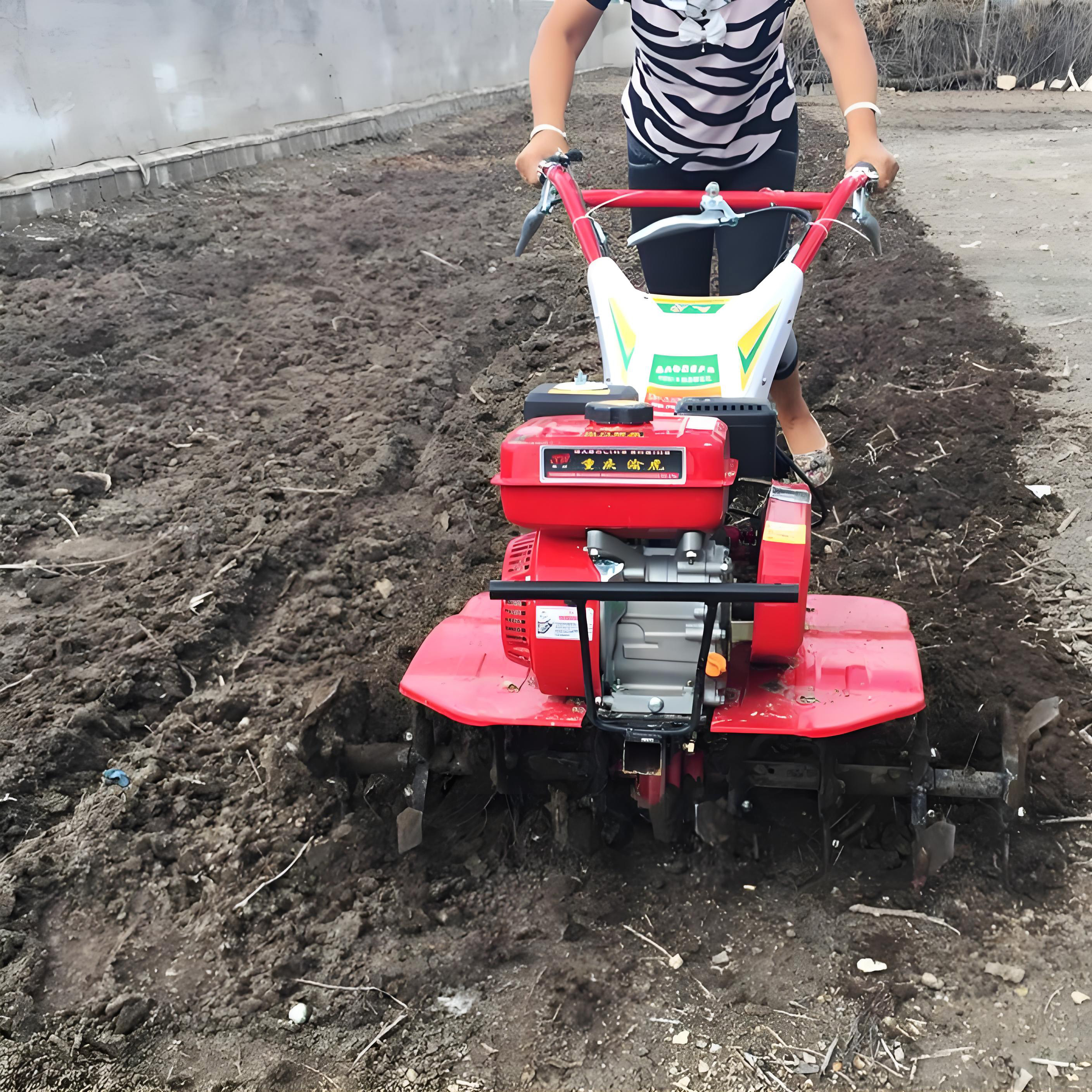 Mini Land Cultivator And Tillering Machine Power Tiller With Diesel Engine