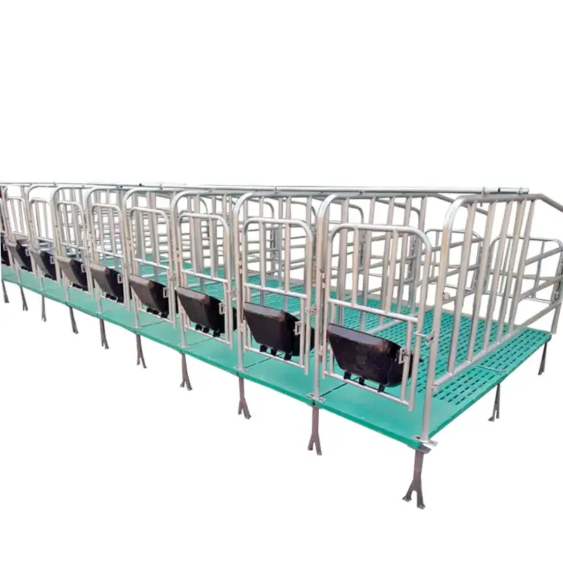 GREAT FARM Modern Agricultural Equipments Animal Cages Sow Gestation pen Galvanized Pig Farrowing Crates pen