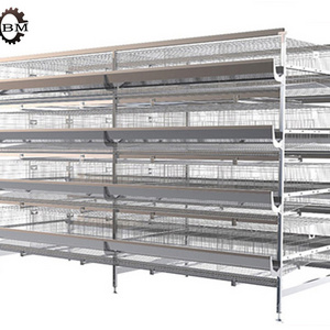 A Type H type  Battery Layer Chicken Cages Automatic Egg Poultry Farming Equipment System