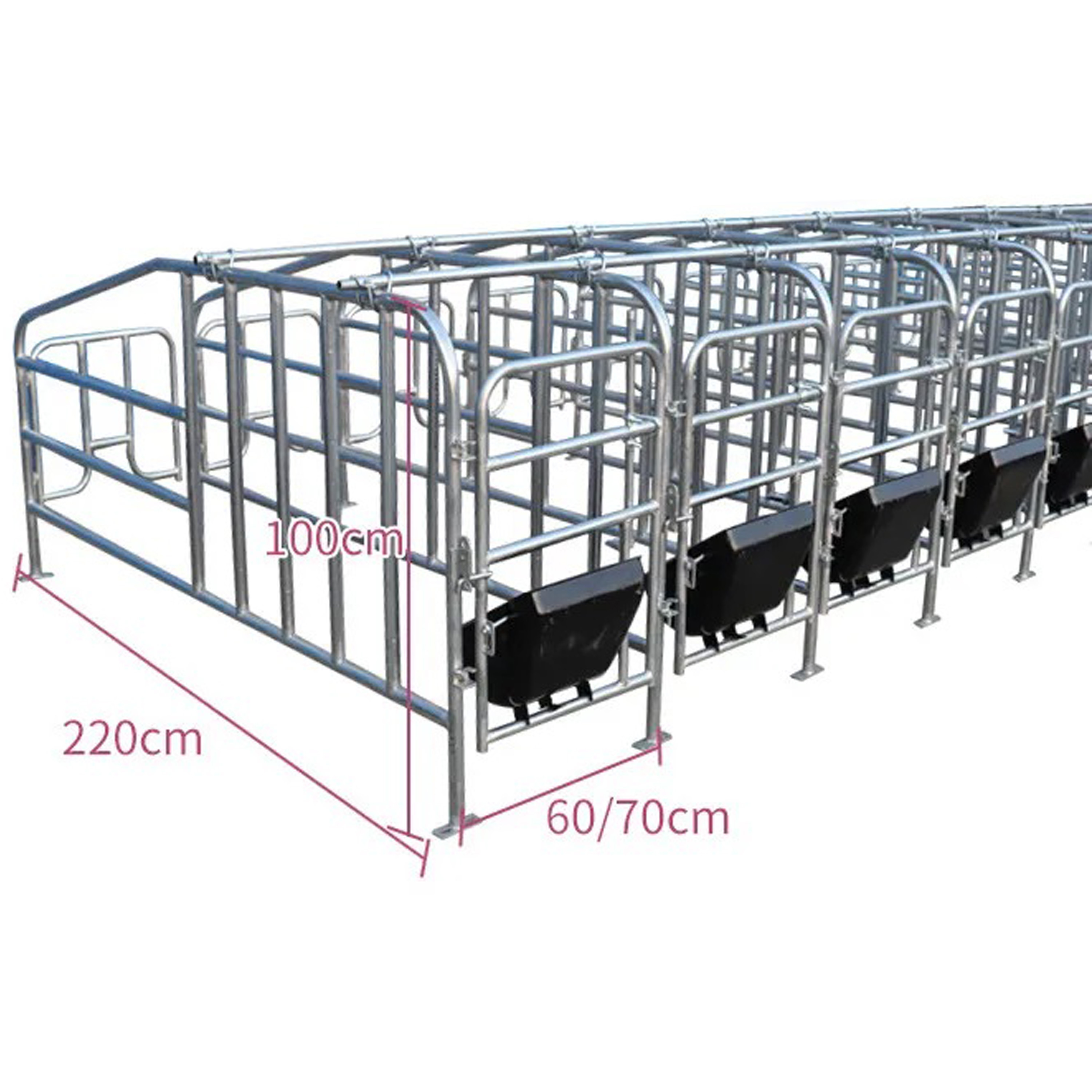 GREAT FARM Modern Agricultural Equipments Animal Cages Sow Gestation pen Galvanized Pig Farrowing Crates pen