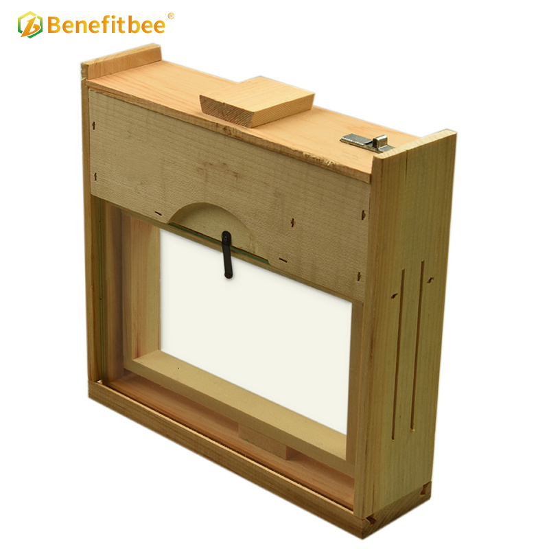 Benefitbee wooden Observation hive box Beekeeping pine transparent Beehive