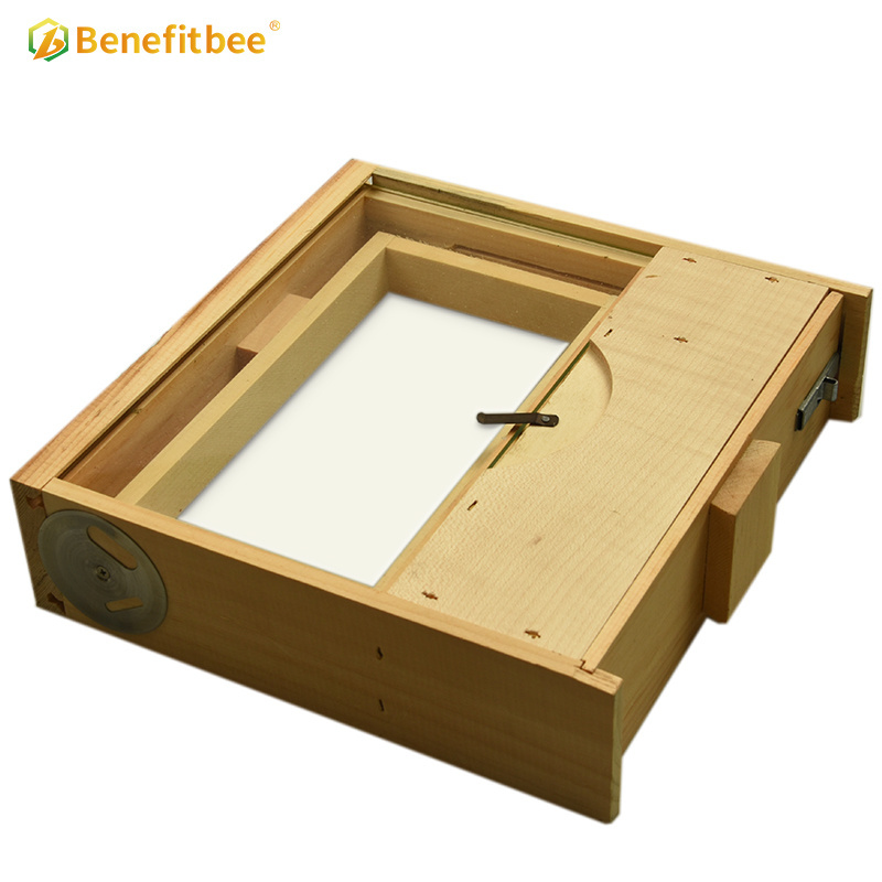 Benefitbee wooden Observation hive box Beekeeping pine transparent Beehive