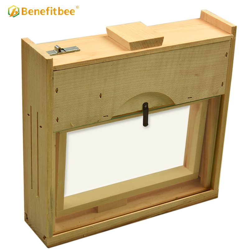 Benefitbee wooden Observation hive box Beekeeping pine transparent Beehive