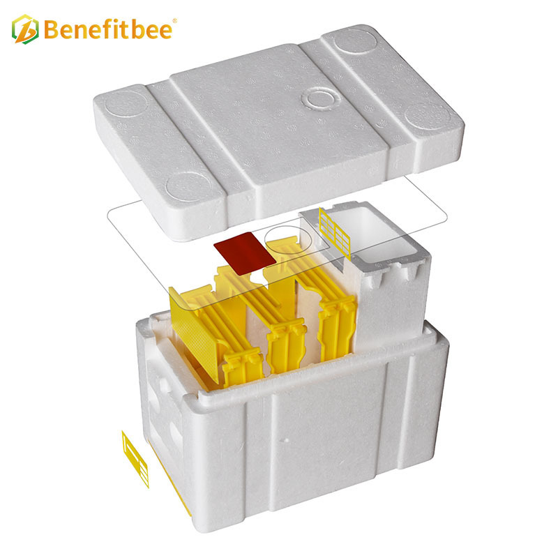 Beekeeping Mating Box nuc Box Polystyrene Bee Hive