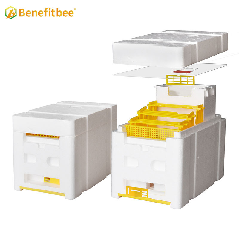 Beekeeping Mating Box nuc Box Polystyrene Bee Hive