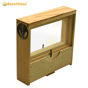 Benefitbee wooden Observation hive box Beekeeping pine transparent Beehive