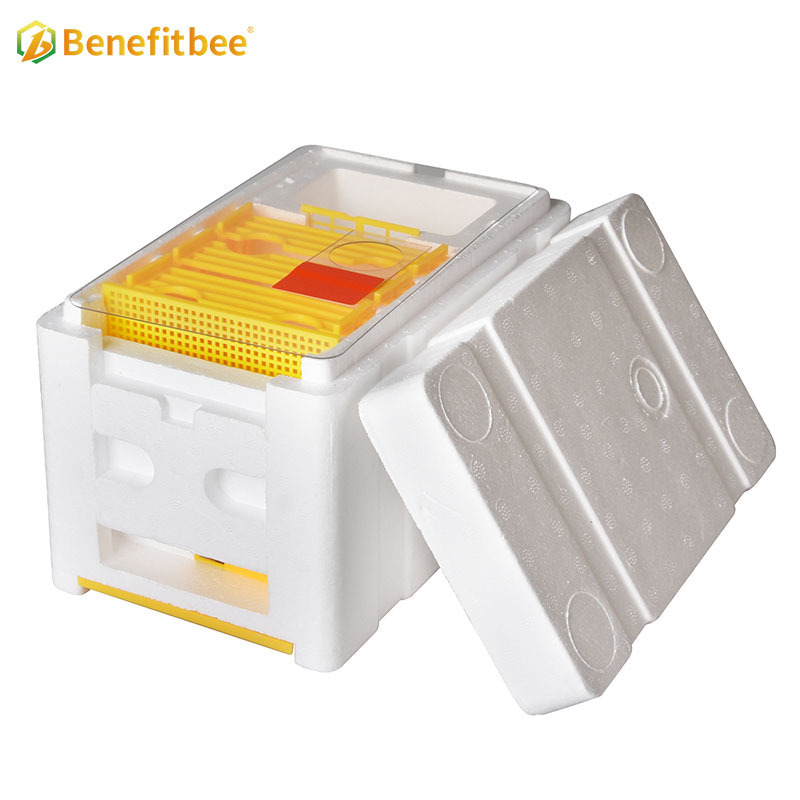 Beekeeping Mating Box nuc Box Polystyrene Bee Hive