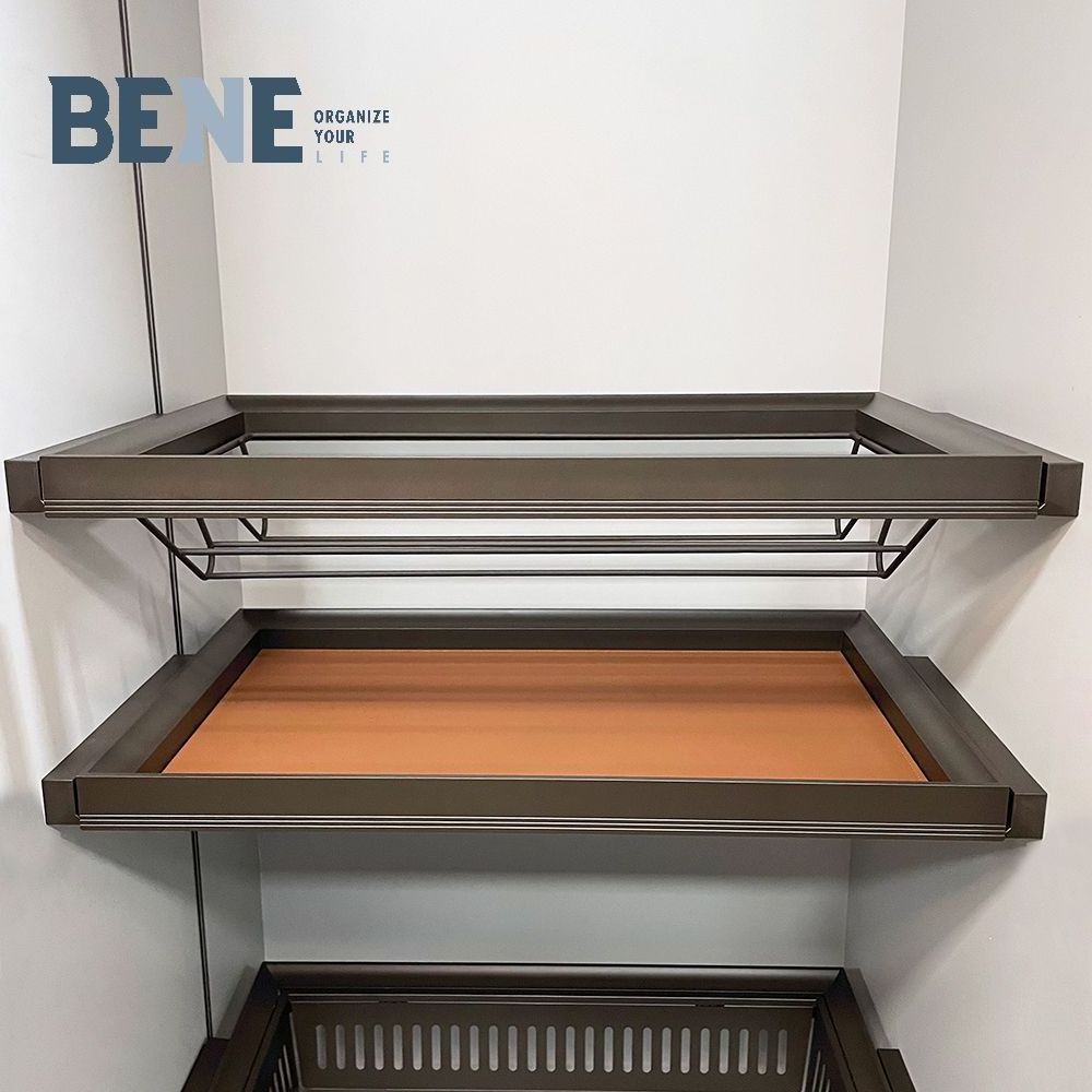 Novel Design Reasonable Price Shoes Rack Cupboard 2 Layer Luxury  Metal Storage Shoe Rack Designs For Home Cabinet