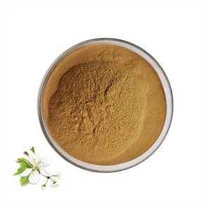 High Quality Bitter Orange Flower Extract Natural 10:1 Citrus Aurantium Extract Powder