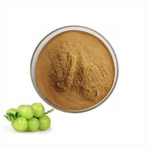 High Quality Emblica officinalis Extract Powder 10:1 Phyllanthus Urinaria Extract