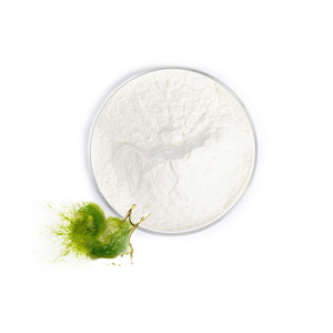 Food Grade 10% 20% 40% 6217-54-5 Dha Algae Oil Powder Omega 3 Bulk Algae Oil Docosahexaenoic Aicd Algae Dha Powder