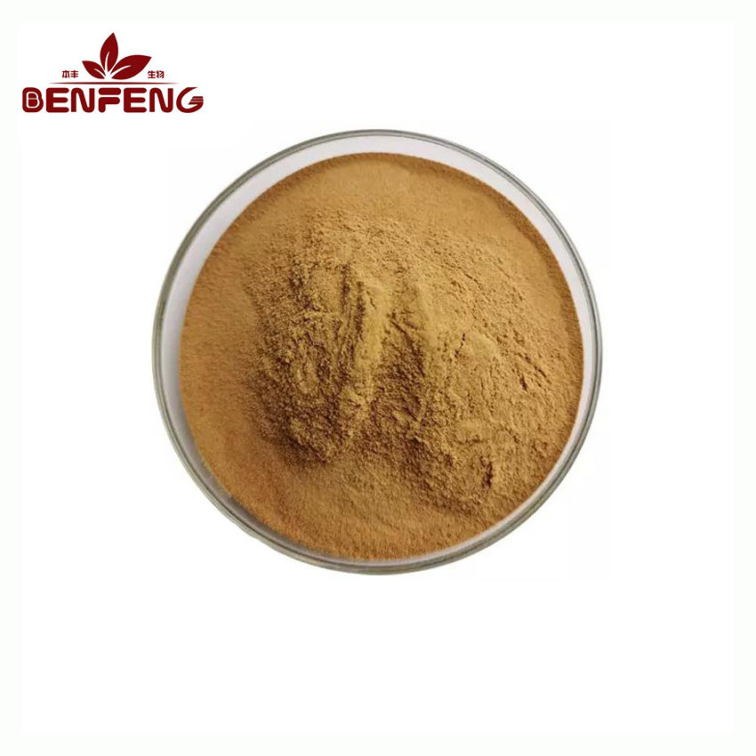 high quality bulk hypericum perforatum extract 0.3% hypericin Hypericum perforatum powder