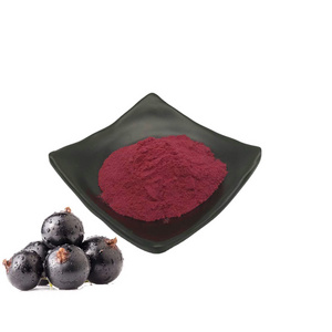 hot selling Best Quality  Maqui Berry Powder fruit powder Maqui Berry fruit juice powder