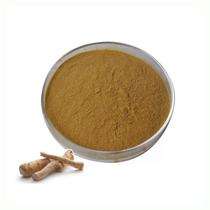 Supply Horseradish Root Extract Health10:1 Horseradish Extract Powder