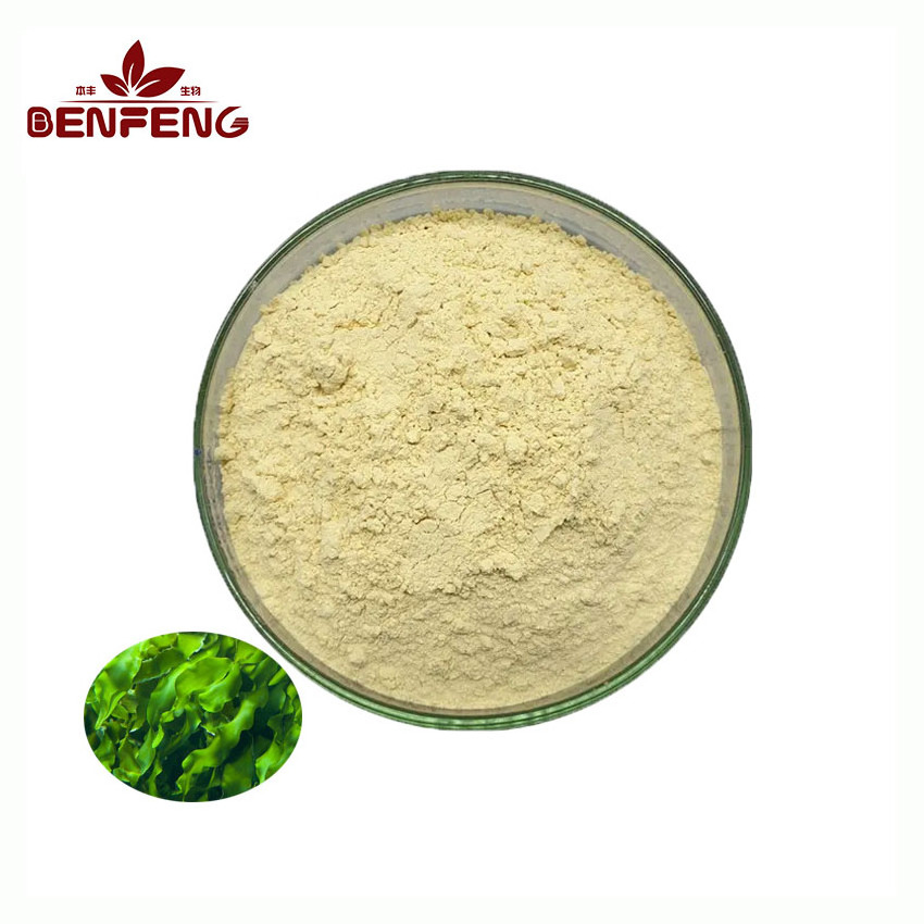 Algae Oil Docosahexaenoic Acid Algae dha Powder Pure  Algal Oil dha Powder