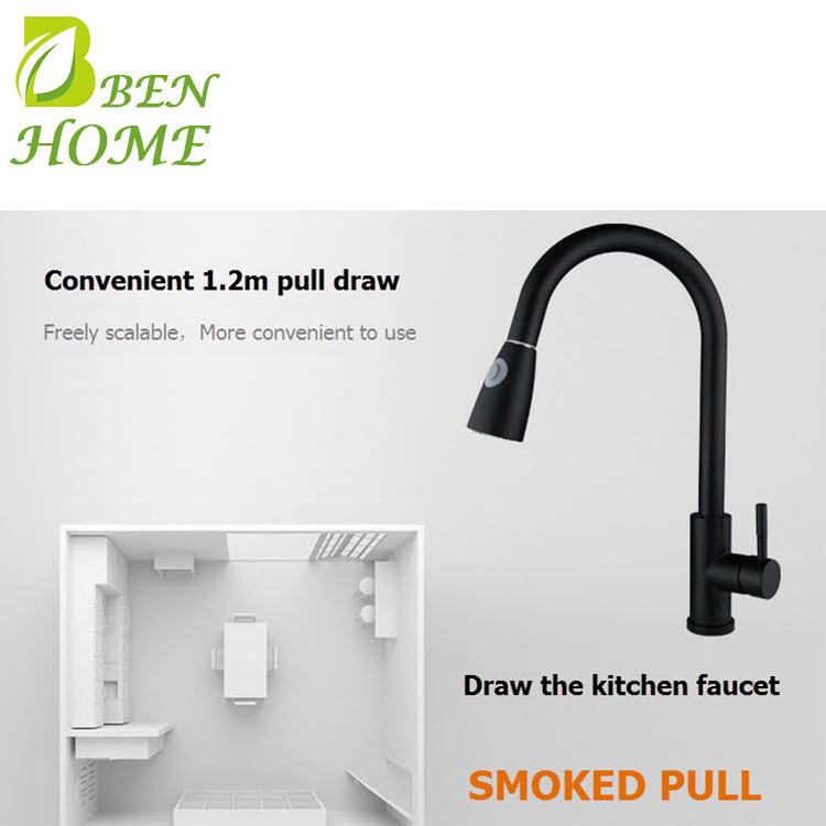 Black Pull Out Faucet For Kitchen Sink