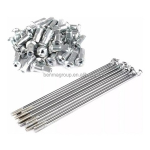 Motorcycle Spare Parts Stainless Steel Spokes and Nipples for wheel rim CG125 TITAN2000 BROS