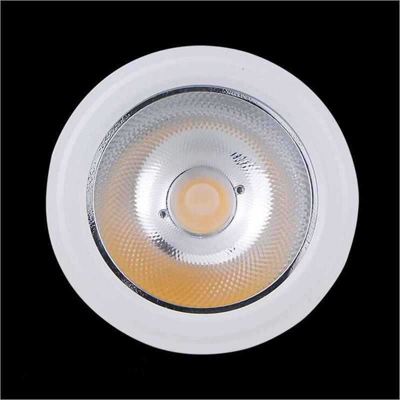 Wholesale Full Spectrum 16W dali dimmer   Recessed Row Lights E27  spot  Lamps Par38 Led dimmable  3000K led par 38 bulb