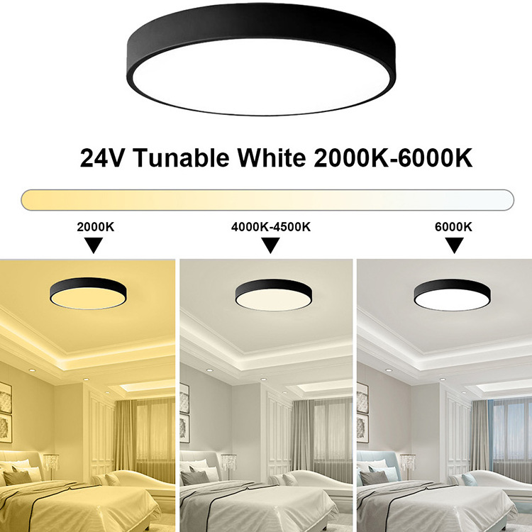 Benory 24V 18W 40W Smart ceiling Light Flush Mount LED Bedroom light Dali PWM Loxone KNX Tunable White CCT Round Ceiling Light