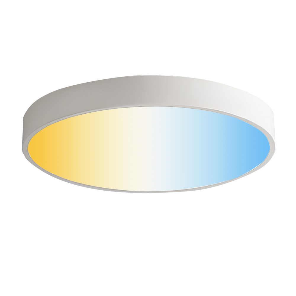 Benory 24V 18W 40W Smart ceiling Light Flush Mount LED Bedroom light Dali PWM Loxone KNX Tunable White CCT Round Ceiling Light